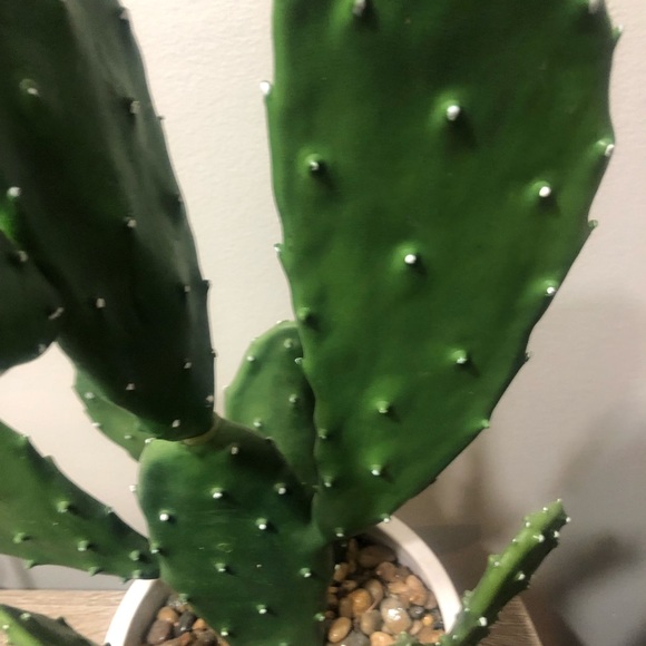 SOLD - Picture 6 of 6